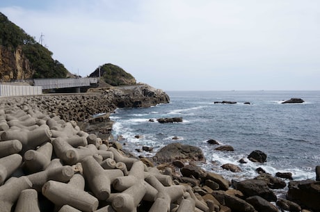 上海地铁9号线线路图 澎湃新闻记者从上海地铁获悉