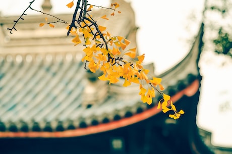 山色空蒙雨亦奇 若有若无