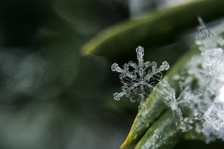 晶莹的雪花填空：一场与自然的亲密接触