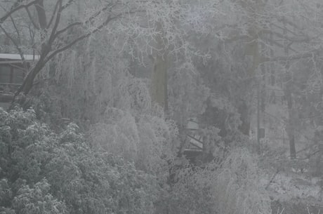 全国多地将迎来最大范围雨雪来袭