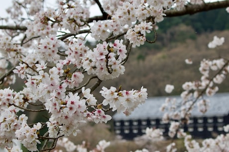 月牙泉在哪里 通过发展节水农业以及改善生态环境来进行治理