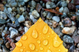 钦州天气预告(钦州天气预告：周末降雨延续，注意防雨季疾病)