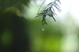 南城天气预告：强降雨来袭，一定要做好防御哦！